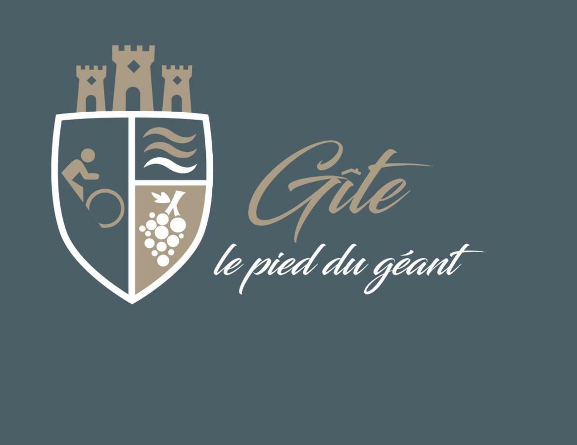 Gite Le Pied Du Geant - Local Securise Pour Les Velos Турнон-сюр-Рон Экстерьер фото